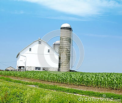 Farm house with corn field and Silo