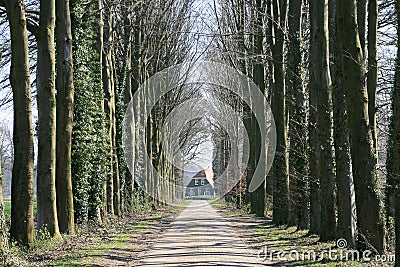 Farm-house between trees