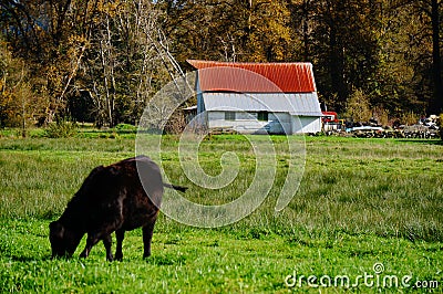 Farm life