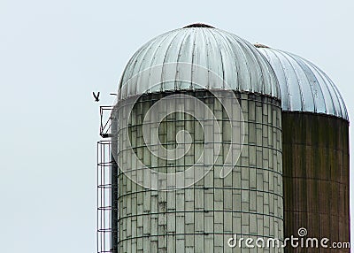 Farm silo