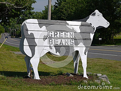 Farm-stand: cow sign beans