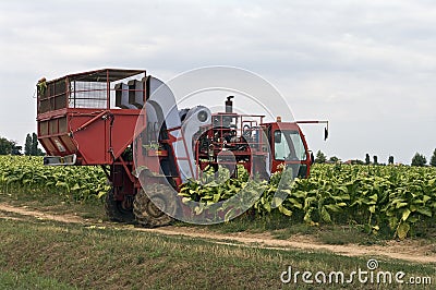 Farm tractor