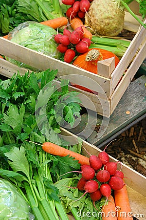 Farm vegetable market