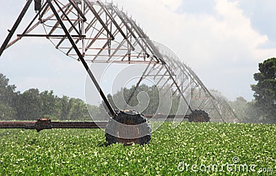 Farm Water Machine