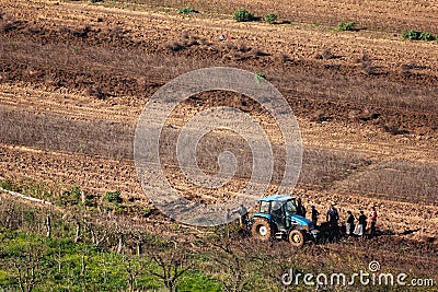 Farm workers at the field. Obidos. Portugal