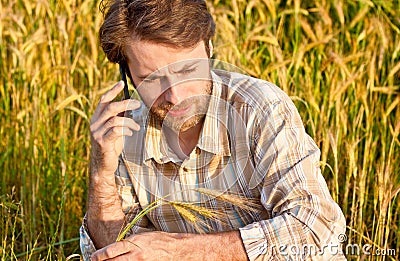 Farmer control wheat field while talking on mobile phone