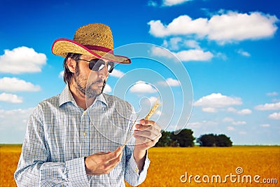 Farmer with cowboy straw hat in wheat field