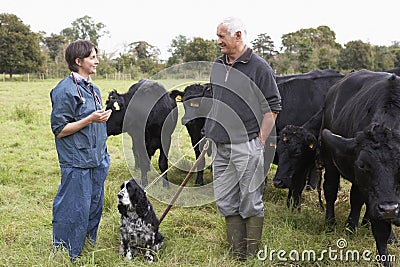 Farmer In Discussion With Vet In Field