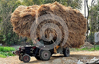 Pengzhou, China: Tractor with Dried Rice Stalks