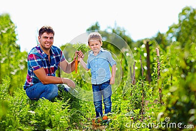 Farmer family harvesting vegetables in garden