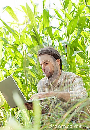 Farmer in front of corn field working on laptop computer
