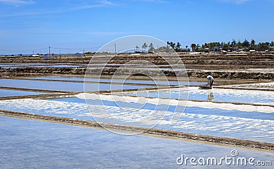 Farmer in Salt field