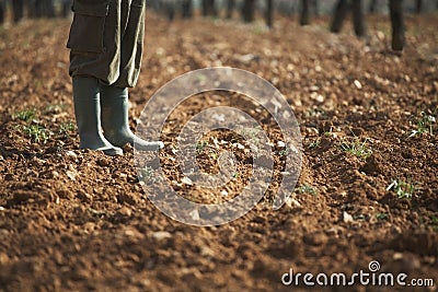 Farmer Standing On Fertile Soil In Farm