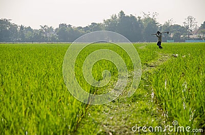 Farmer work in the green