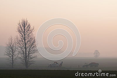 Farmers working in the fields