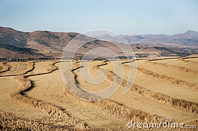 Farming South Africa