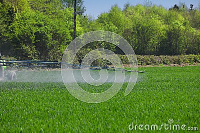 Farming tractor spraying on green field