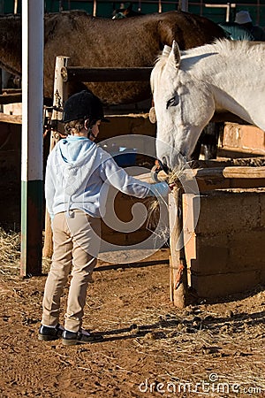 Feeding the horse