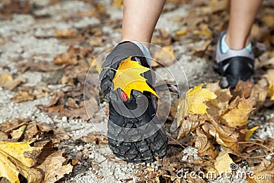 Feet of a runner in autumn leaves