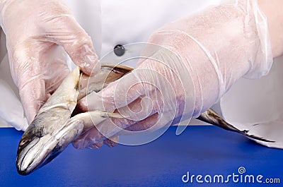 Female chef holds a fresh mackerel