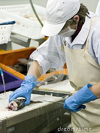 Female fish cutter in action