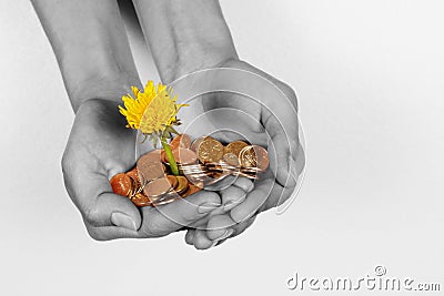 Female hands with a flower and coins