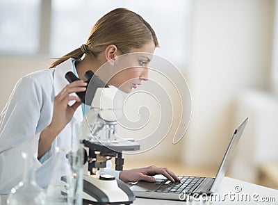 Female Scientist Using Laptop At Desk In Laboratory