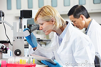 Female Scientist Using Tablet Computer In Laboratory