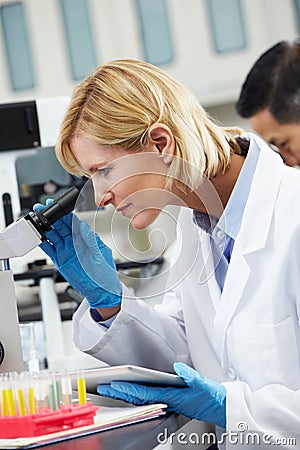 Female Scientist Using Tablet Computer In Laboratory