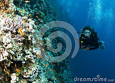 Female scuba diver on colorful foral reef