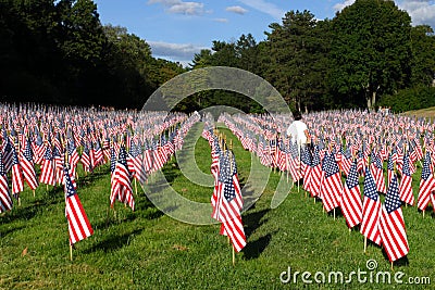 Field of American Flags