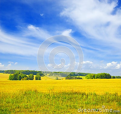 Autumn landscape. Yellow field and blue sky