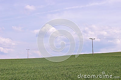 Field. Clouds, Skies. grass, herb, green-fodder.