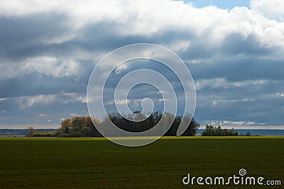 Field and cloudy sky.