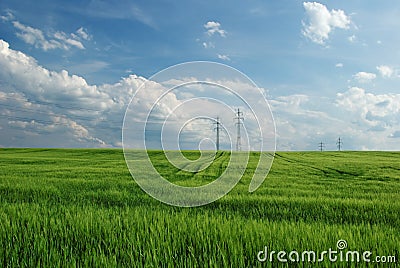 Field of green corn, on the horizon electricity pylons