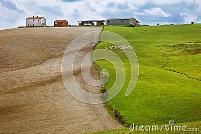 Field with green grass and field with land worked