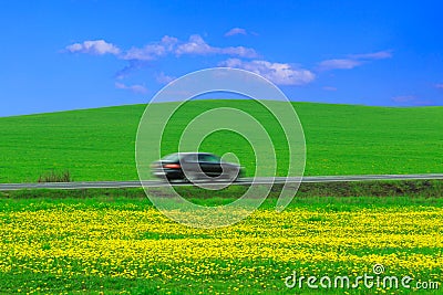 Field, road, car