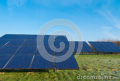 Field with solar panels
