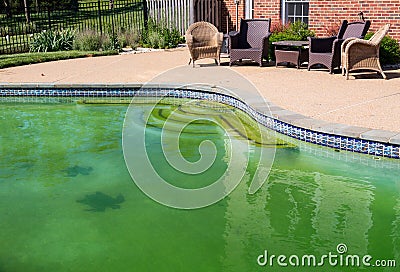 Filthy backyard swimming pool and patio