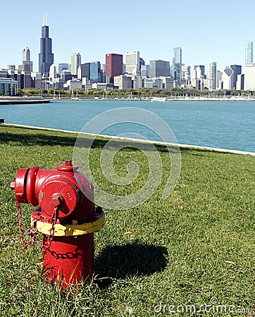 Fire hydrant with Chicago Skyline