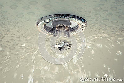 Fire Sprinkler Royalty Free Stock Image - Imag