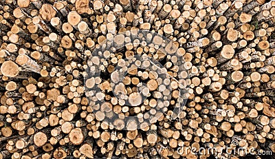 Firewood logs