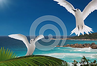 First flight. Birds, islands of Seychelles.