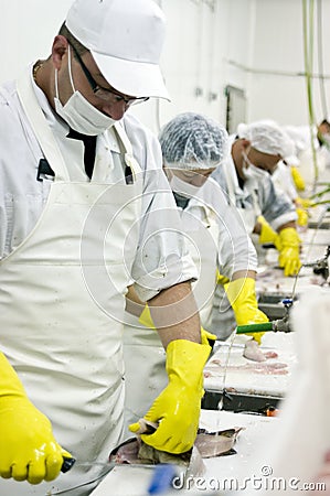 Fish cleaning assembly line