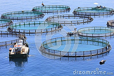 Fish farm
