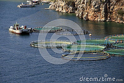 Fish farm, Greece