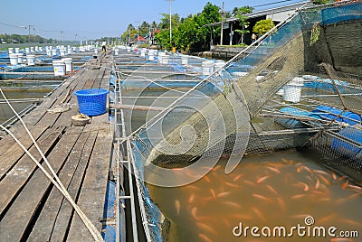 Fish farm located on the river