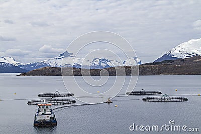 Fish farm in Norway