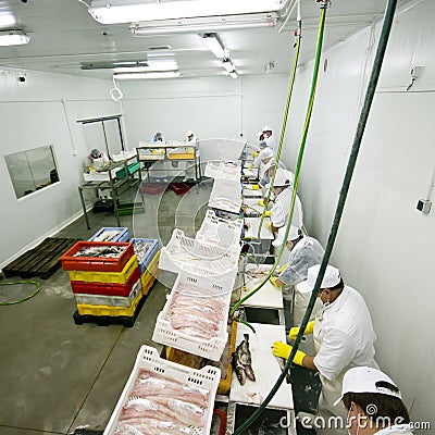 Fish food factory