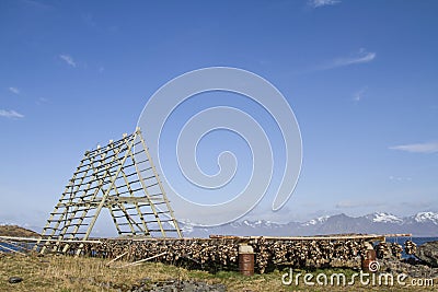 Fish head drying racks